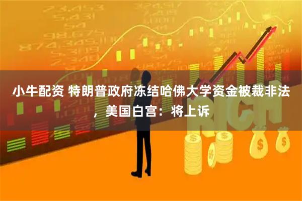 小牛配资 特朗普政府冻结哈佛大学资金被裁非法，美国白宫：将上诉